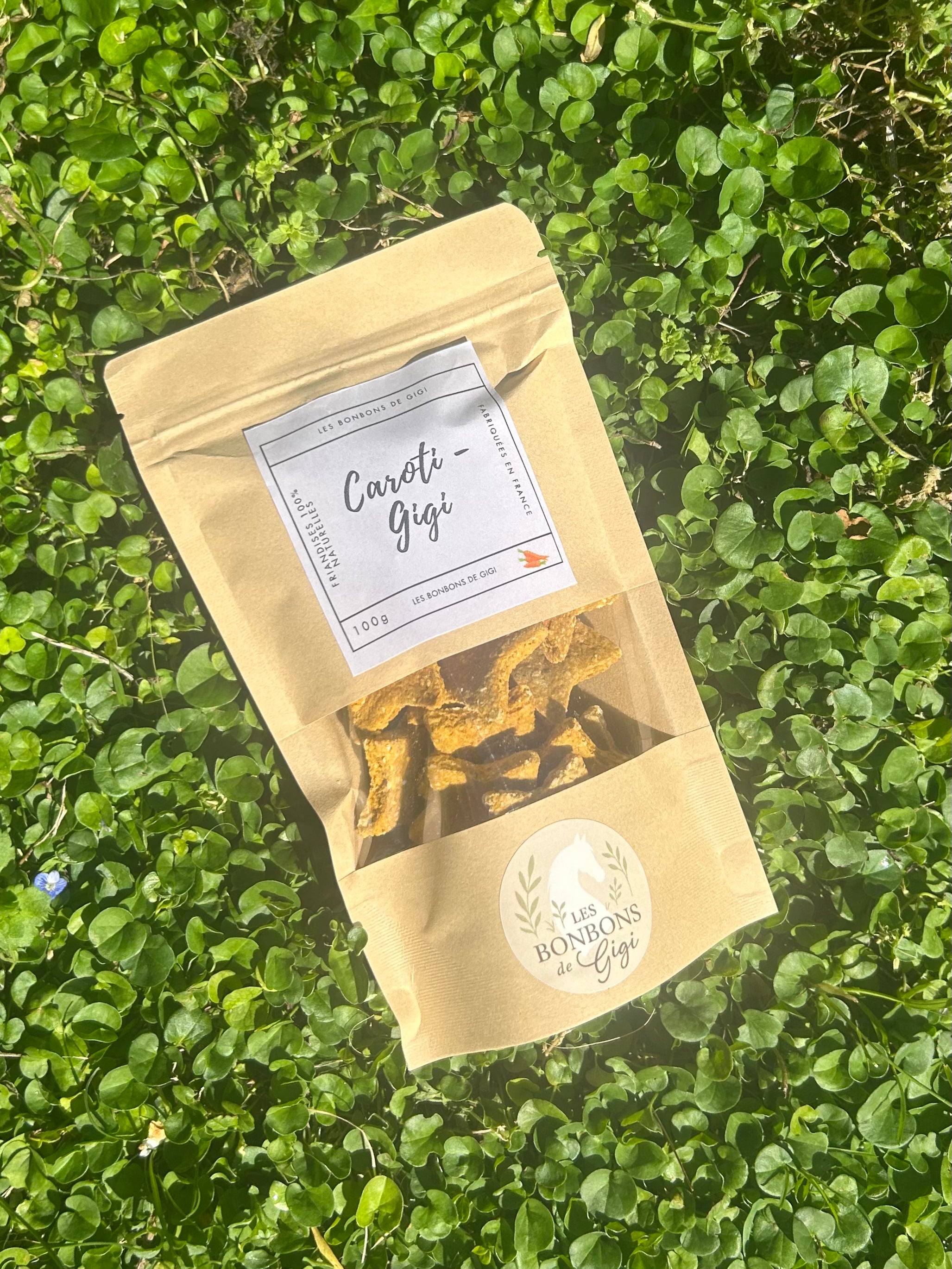 Caroti-Gigi 🥕