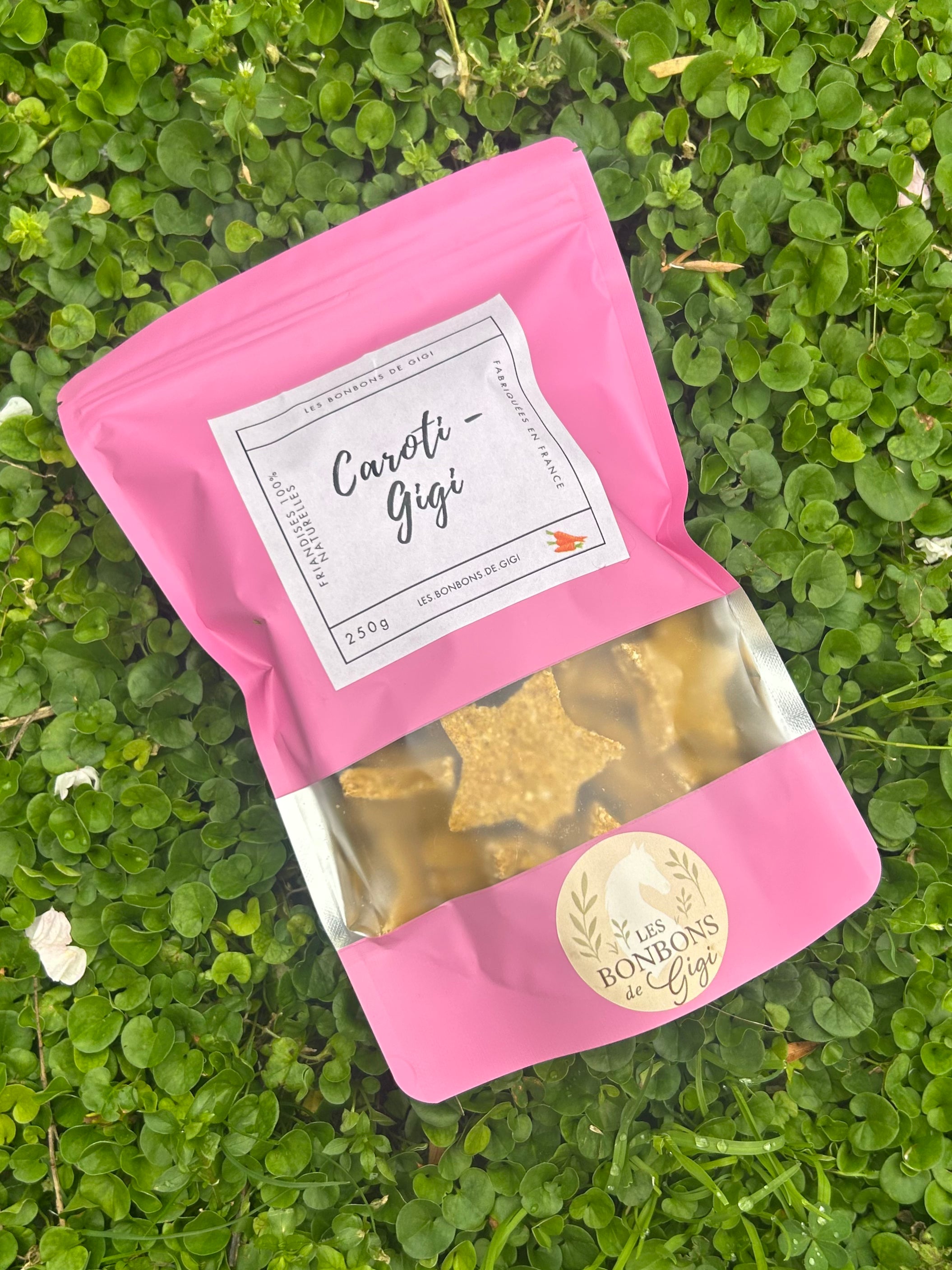 Caroti-Gigi 🥕